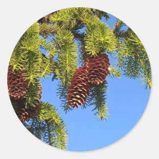 Pegatina fotográfico de la selva natural con ramas