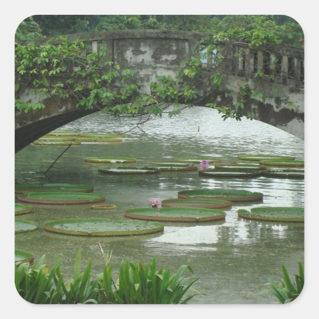 Pegatina fotográfico de Lily Pad (Anverso)