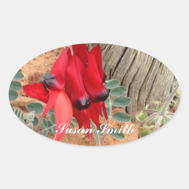 Pegatina fotográfico de Oval con nombre - La paz d (Anverso)