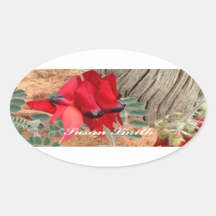 Pegatina fotográfico de Oval con nombre - La paz d