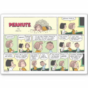 Pegatina Franklin, Peppermint Patty & Marcie   Clase matemá