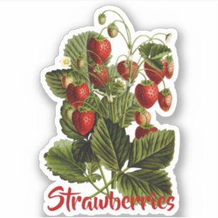 Pegatina Fresas personalizables