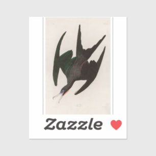 Pegatina Frigate Pelican Birds of America Audubon Print