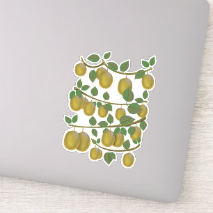 Pegatina Fruta de kiwi