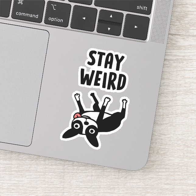 Pegatina Funny Boston Terrier Stay Weird Dog (Detalle)