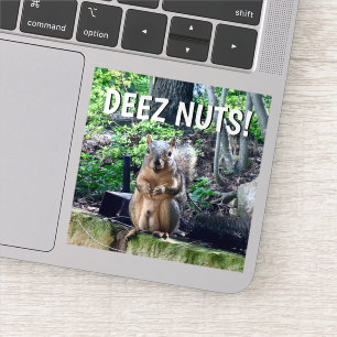 Pegatina Funny Squirrel Deez Nuts Portátil Humor para Adult