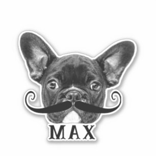 Pegatina Funny Upload Mascota Face Photo & Name with Mustac