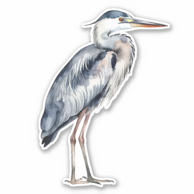 Pegatina Garza Azul Costera (Anverso)