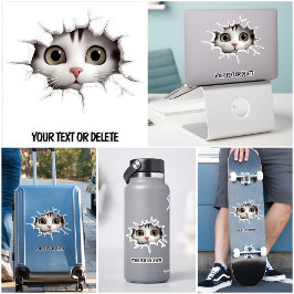 Pegatina Gatito gatito con sabor a peeking cruzado de noved