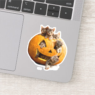 Pegatina Gatitos en Jack-o-Lantern