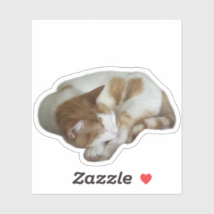 Pegatina Gato Adorable con Corazón Roto
