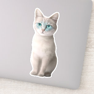 Pegatina Gato Adorable Ojos Azules - Personalizabl