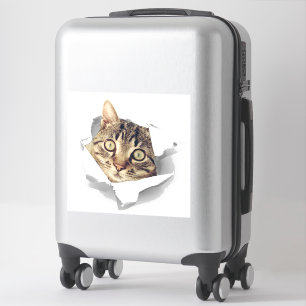 Pegatina Gato Amantes Face Fun