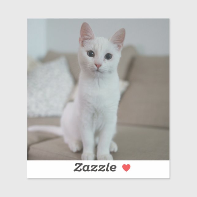 Pegatina Gato blanco | Zazzle_Growshop. (Hoja)