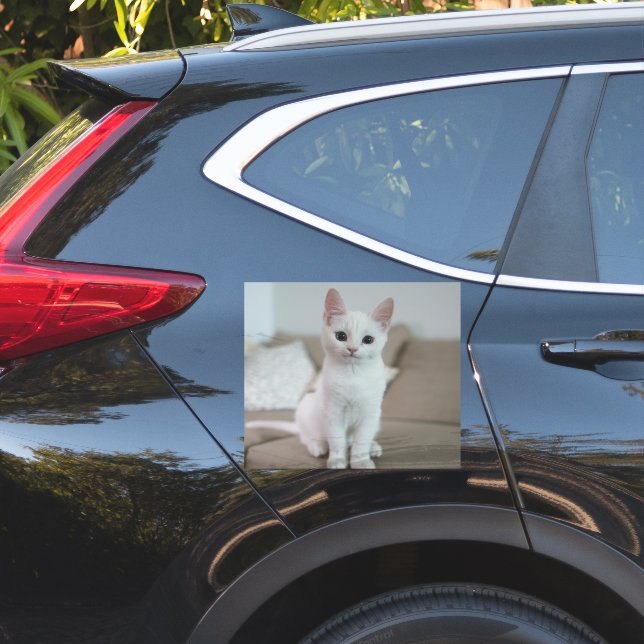 Pegatina Gato blanco | Zazzle_Growshop. (Lado del coche)