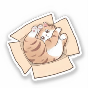 Pegatina Gato Calico Adorable en Caja de Cartón