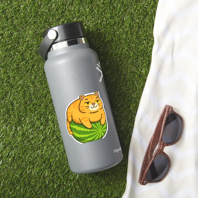 Pegatina Gato Chubby en una sandía meme camiseta (HydroFlask Insitu)