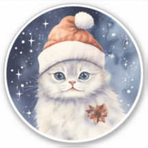 Gato de Navidades blancos en Santa Hat