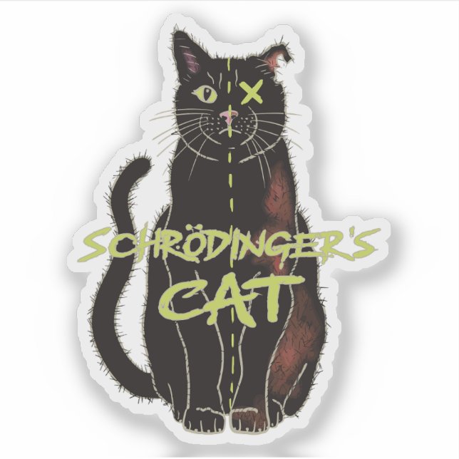 Pegatina Gato de Schrodinger, regalo gracioso de física (Anverso)