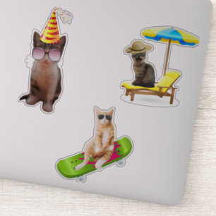 Pegatina Gato En Skateboard