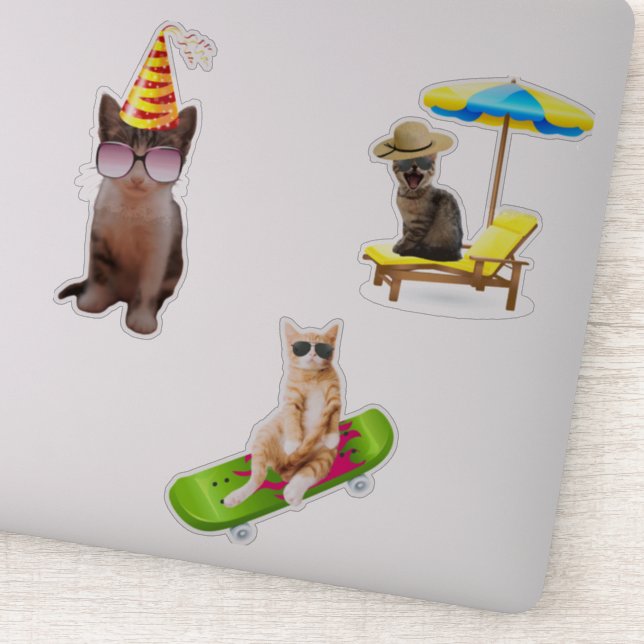 Pegatina Gato En Skateboard (Detalle)