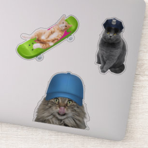 Pegatina Gato En Skateboard