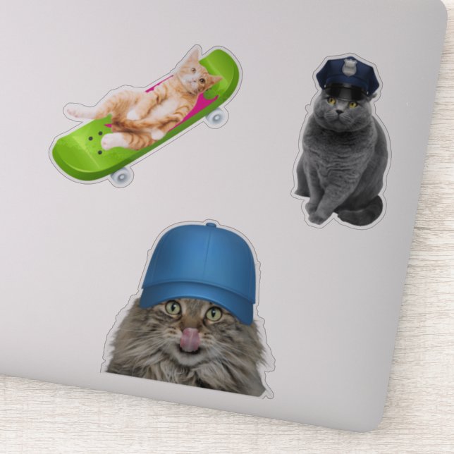 Pegatina Gato En Skateboard (Detalle)