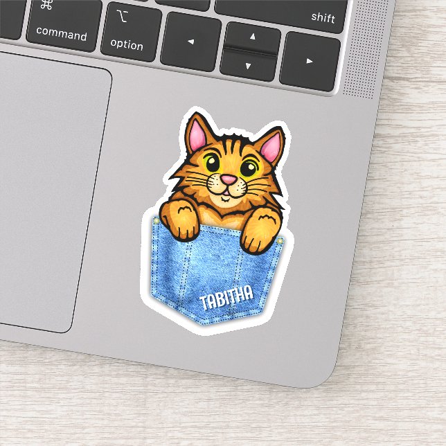 Pegatina Gato naranja en bolsillo falso de denim con nombre (Detalle)