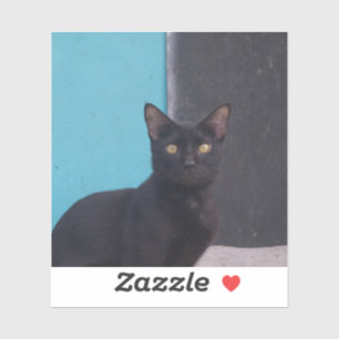 Pegatina Gato negro sorprendido