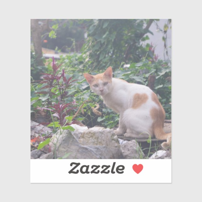 Pegatina Gato sentado sobre un escombro de piedras (Hoja)