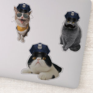 Pegatina Gato usando gafas de sol