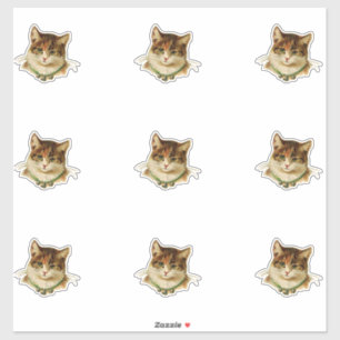 Pegatina Gato vintage