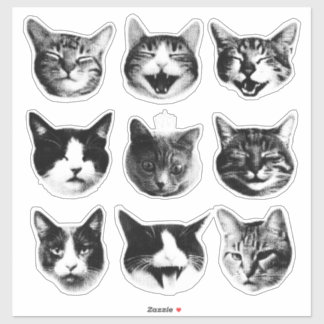 Pegatina Gatos