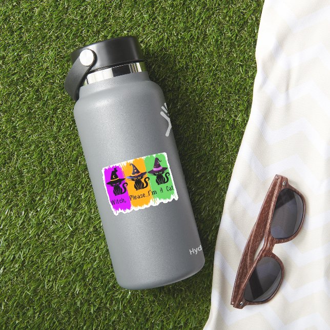 Pegatina Gatos Negros En Gorras De Brujas Esencial Camiseta (HydroFlask Insitu)