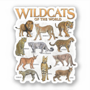 Pegatina Gatos Salvajes Animales del Mundo Educativo Animal
