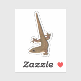 Pegatina Gecko de la Casa Común