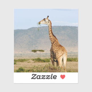 Pegatina Giraffe Africa