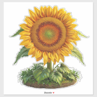 Pegatina Girasol brillante en pleno florecimiento con Leafy