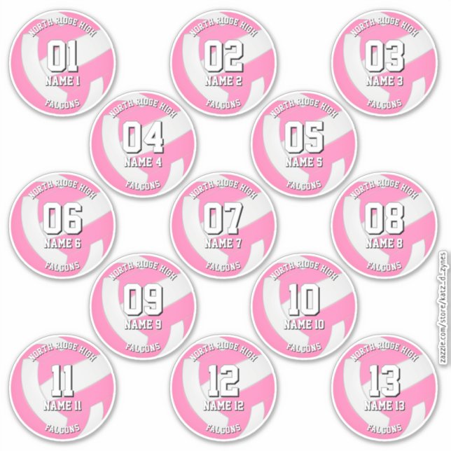 Pegatina girls pink volleyball team stickers 13 athletes (Anverso)