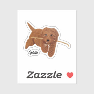 Pegatina Golden Doodle 