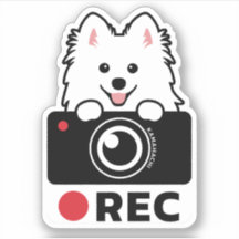 Grabación de perros Spitz Advertencia de cámara Pe