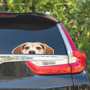 Pegatina Gracioso perro Beagle mitad cara