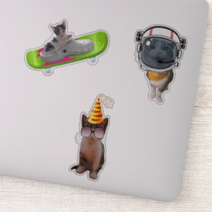 Pegatina Graciosos memes