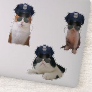 Pegatina Graciosos memes