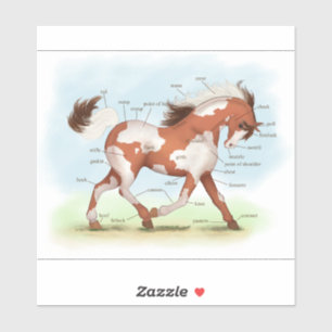 Pegatina Gráfica de anatomía de caballos con maní de castañ