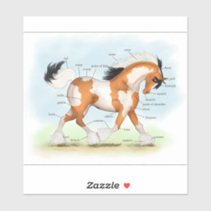 Pegatina Gráfica de anatomía de caballos gitanos de color s