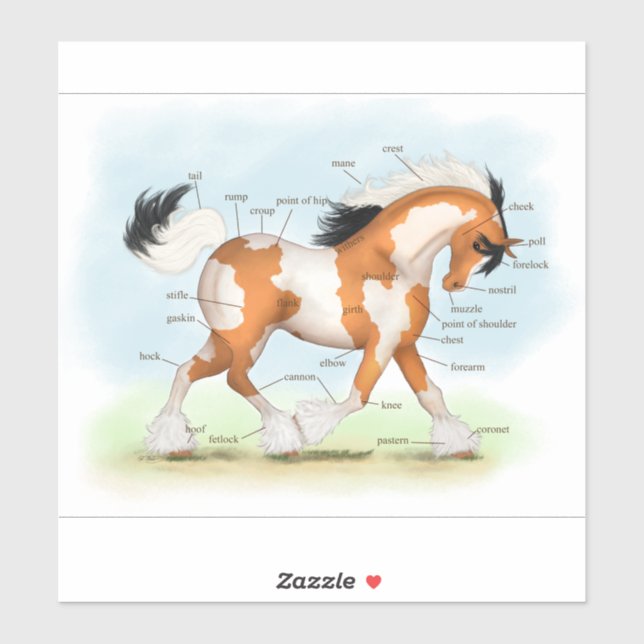 Pegatina Gráfica de anatomía del caballo de oro sobre gitan (Hoja)