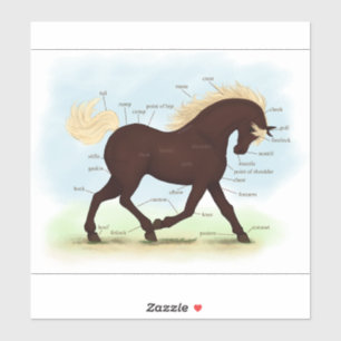 Pegatina Gráfico de anatomía ecuestre de los caballos de la