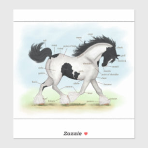 Pegatina Gráfico de anatomía ecuestre Piebald Gypsy