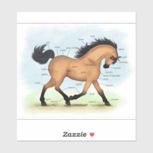 Pegatina Gráfico educativo de anatomía de caballos de piel 